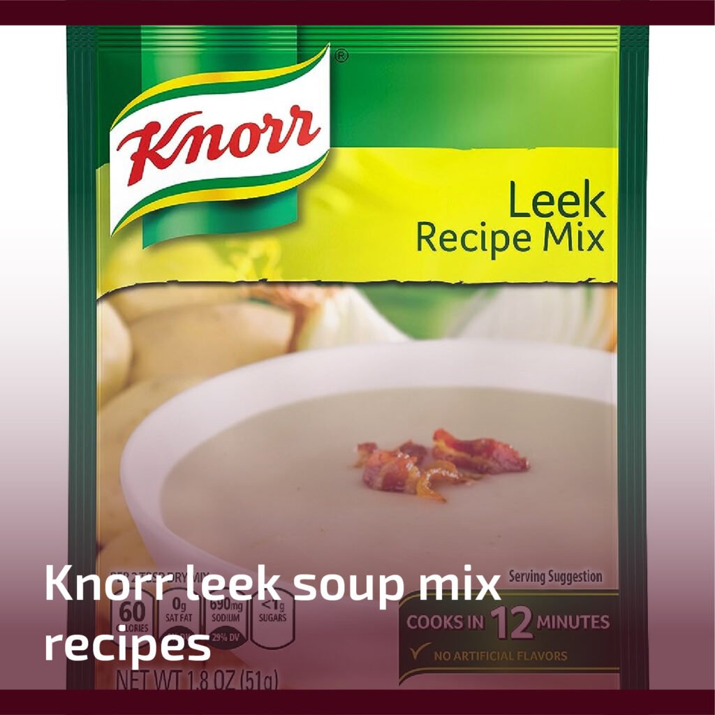 Knorr Leek Soup Mix Recipes